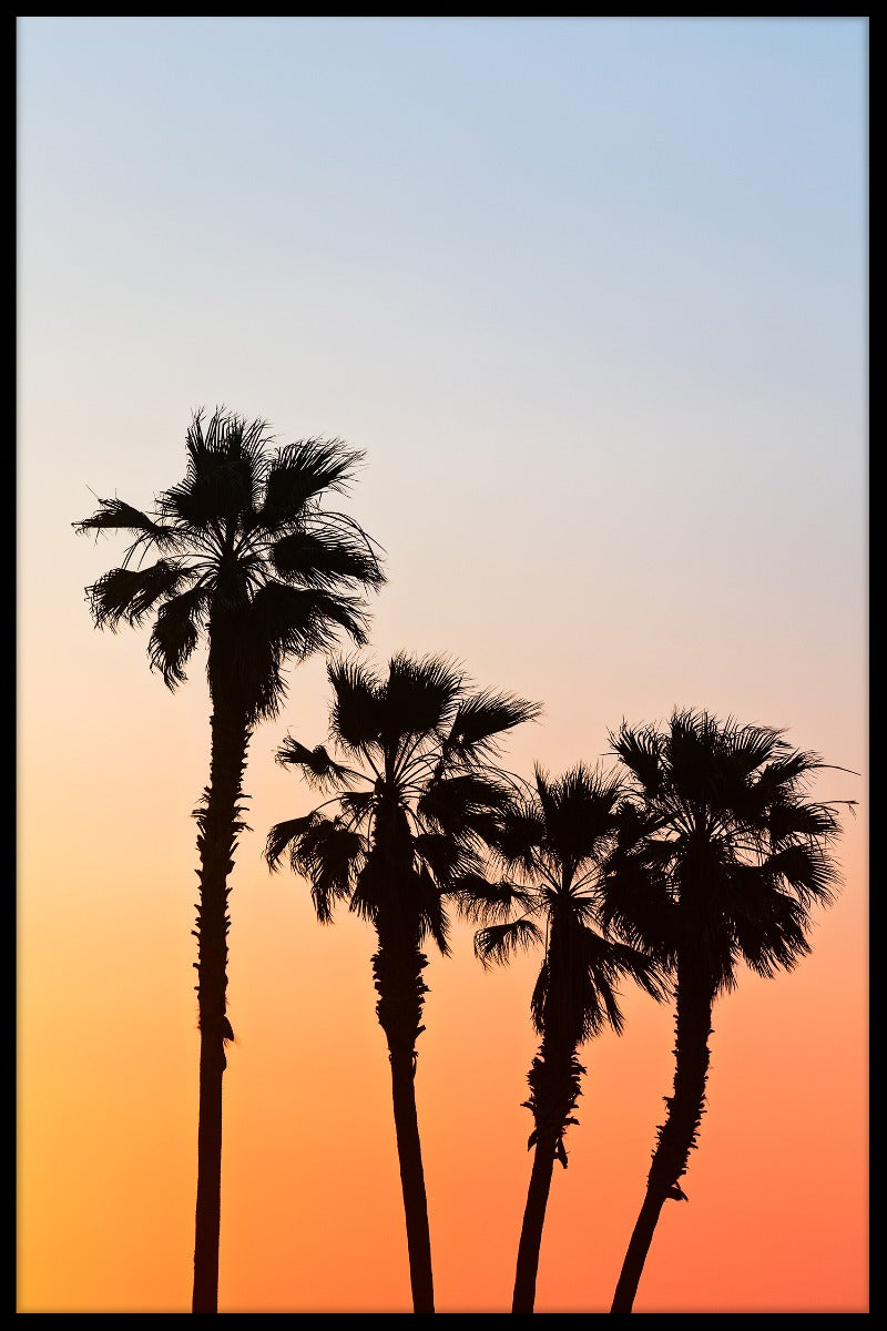  Palmen-Sonnenuntergang-Plakat