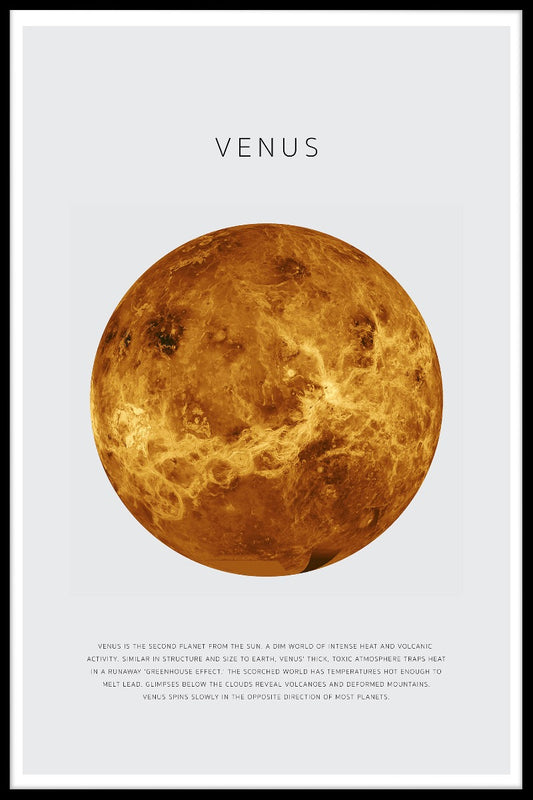  Venus-Plakate