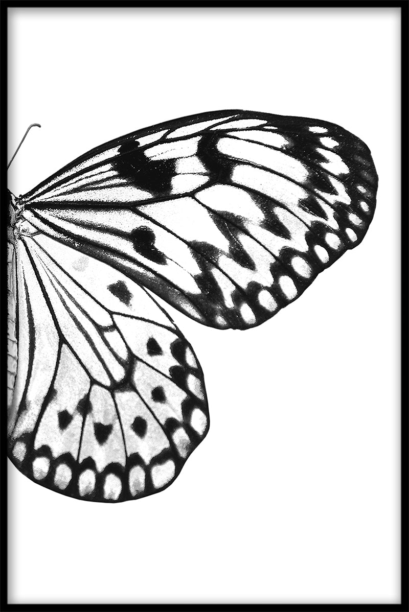  record Schmetterlingsschaukel N03