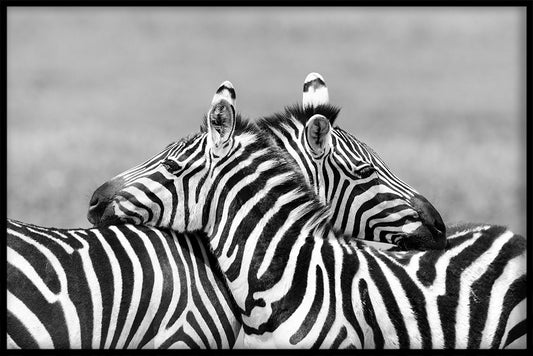  Tiere Schwarz-Weiß-N01-Aufzeichnungen