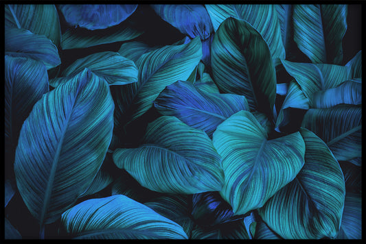  Tropisches blaues Plakat