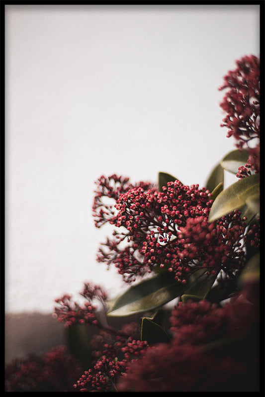  Plakat der Weinlese-Blumen-Sammlung N03