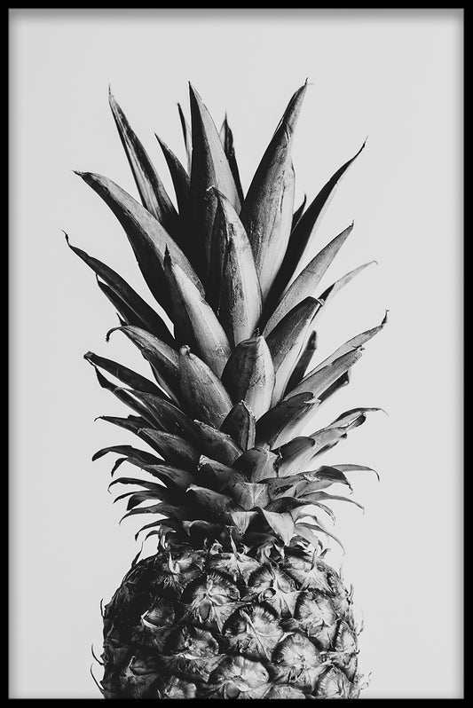  Ananas N02-Plakat