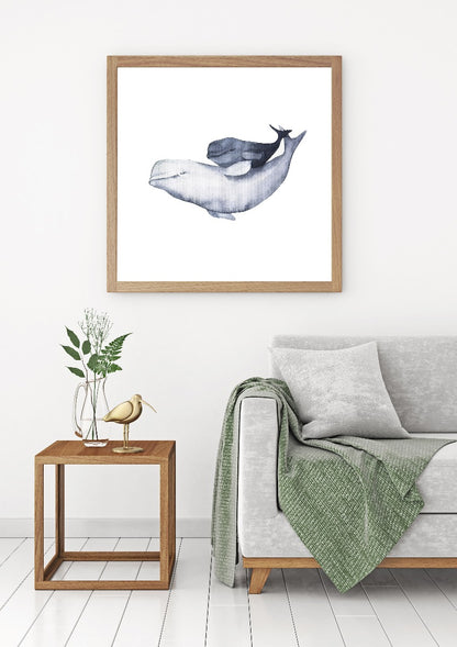 Aquarellplakate für die Beluga-Familie