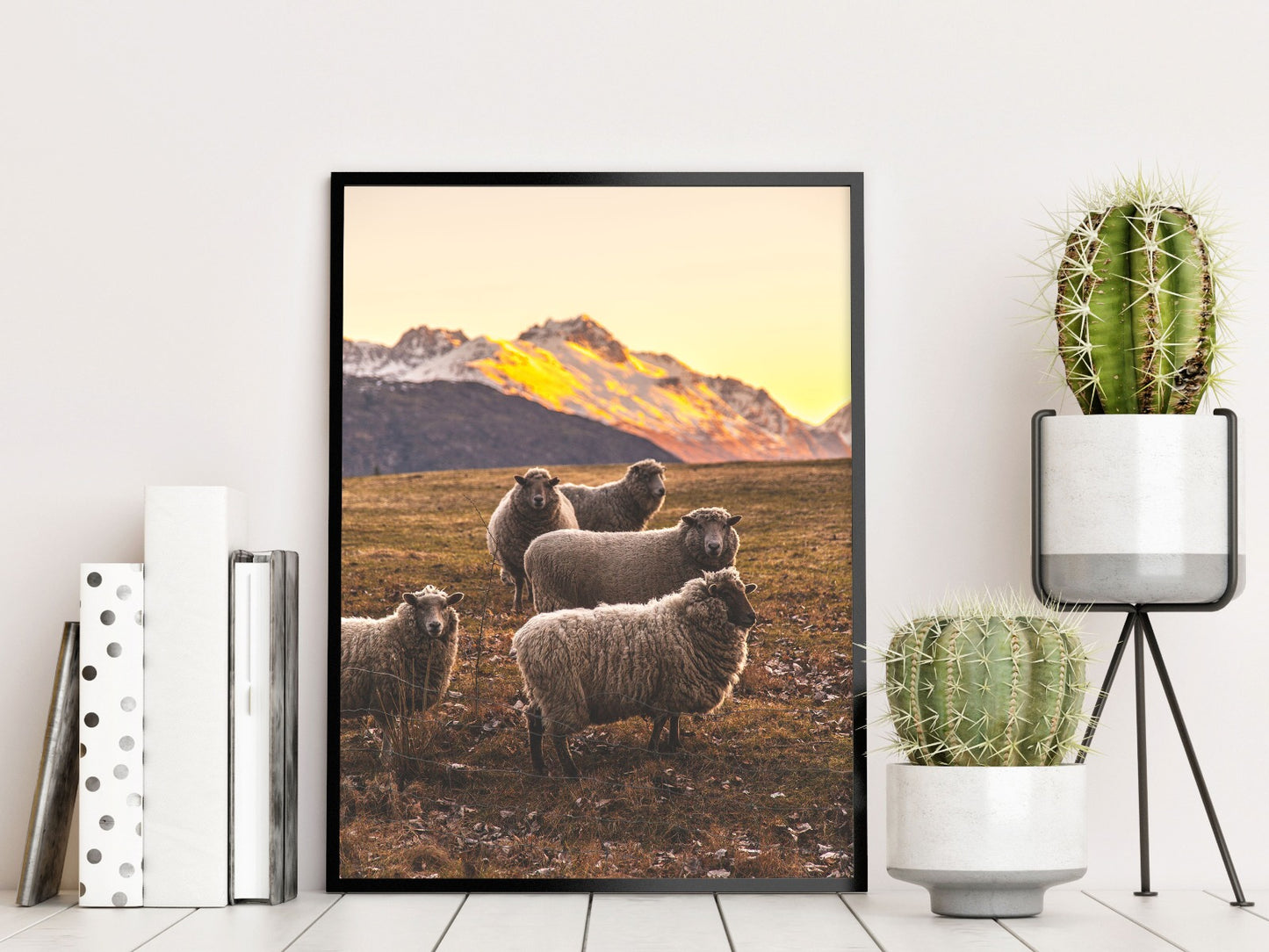  Aufzeichnungen über neuseeländische Schafe