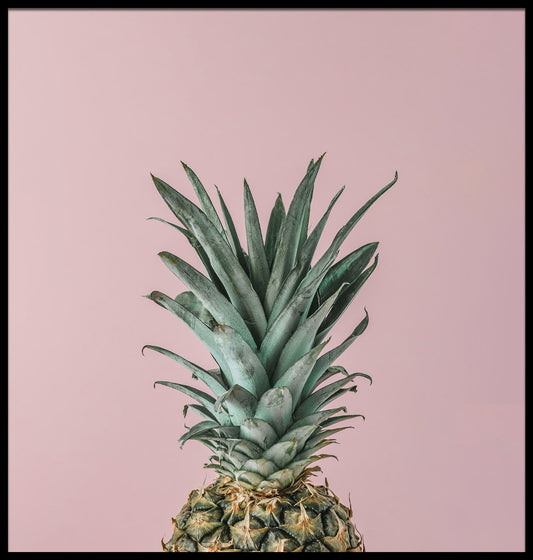 Rosa Hintergrundplakat der reifen Ananas